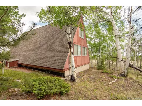244 Lariat Loop, Hartsel, CO 80449 photo 7