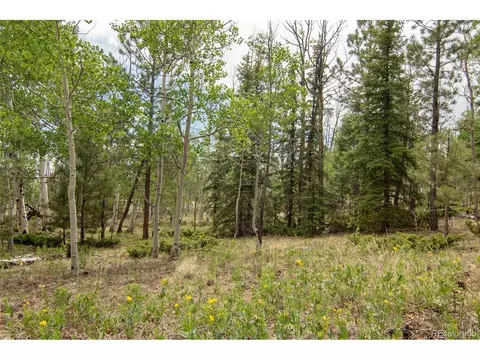 244 Lariat Loop, Hartsel, CO 80449 photo 46