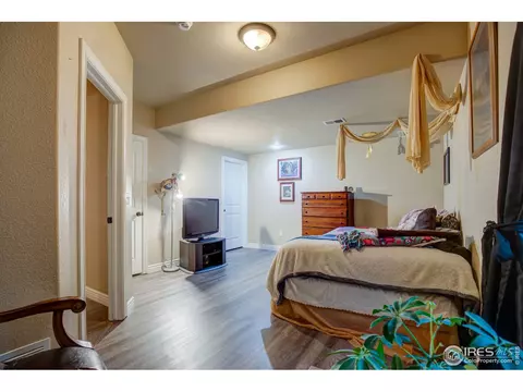 1738 Platte River Ct, Windsor, CO 80550 photo 31