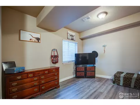 1738 Platte River Ct, Windsor, CO 80550 photo 27