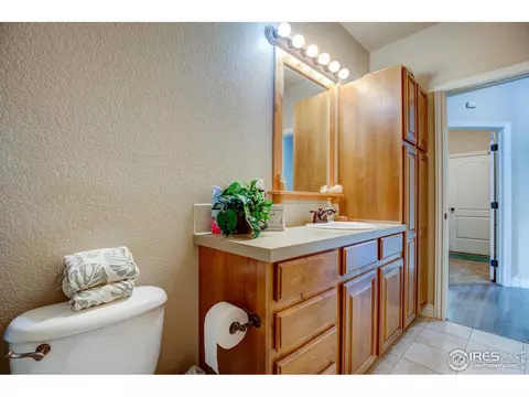 1738 Platte River Ct, Windsor, CO 80550 photo 19