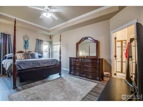 1738 Platte River Ct, Windsor, CO 80550 photo 10