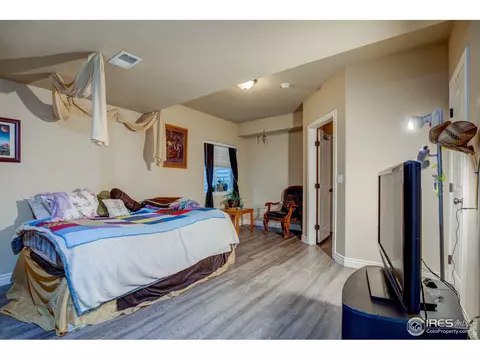 1738 Platte River Ct, Windsor, CO 80550 photo 30