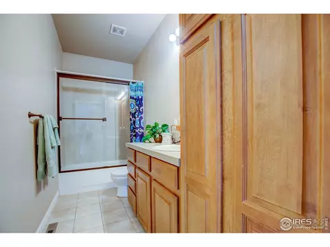1738 Platte River Ct, Windsor, CO 80550 photo 18