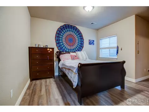 1738 Platte River Ct, Windsor, CO 80550 photo 25