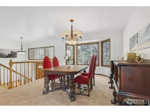 250 Pinehurst Dr, Monument, CO 80132 photo 13