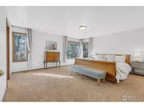 250 Pinehurst Dr, Monument, CO 80132 photo 16