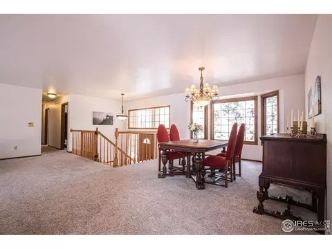250 Pinehurst Dr, Monument, CO 80132 photo 14