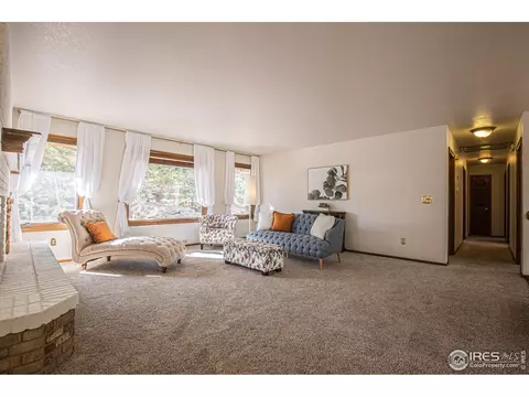 250 Pinehurst Dr, Monument, CO 80132 photo 10