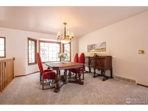 250 Pinehurst Dr, Monument, CO 80132 photo 15