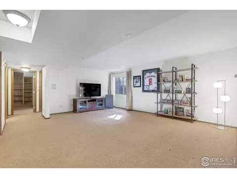 250 Pinehurst Dr, Monument, CO 80132 photo 22