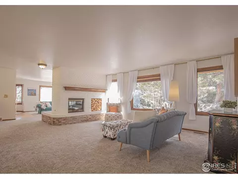 250 Pinehurst Dr, Monument, CO 80132 photo 11