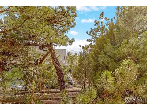 250 Pinehurst Dr, Monument, CO 80132 photo 31