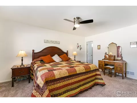 1108 Tur St, Severance, CO 80550 photo 19