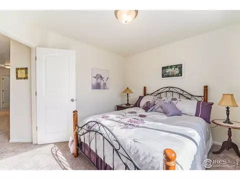 1108 Tur St, Severance, CO 80550 photo 22