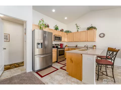 1108 Tur St, Severance, CO 80550 photo 9