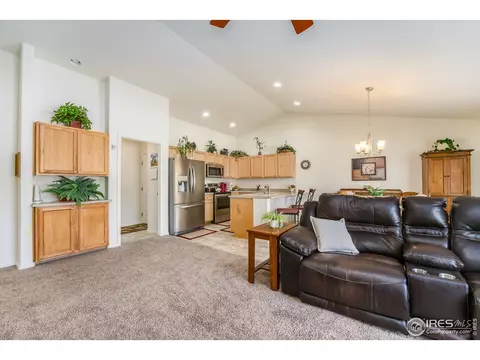 1108 Tur St, Severance, CO 80550 photo 8