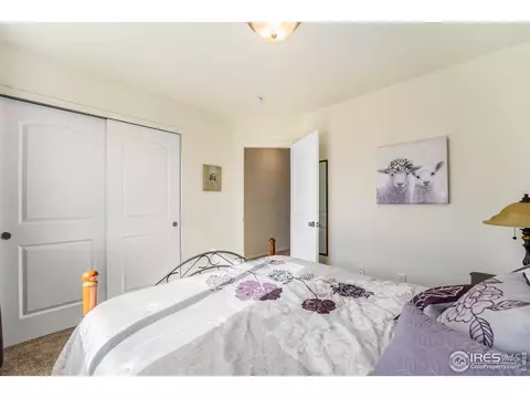 1108 Tur St, Severance, CO 80550 photo 23