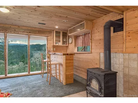 487 Eagle Trl, Bailey, CO 80421 photo 23