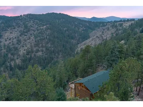 487 Eagle Trl, Bailey, CO 80421 photo 29