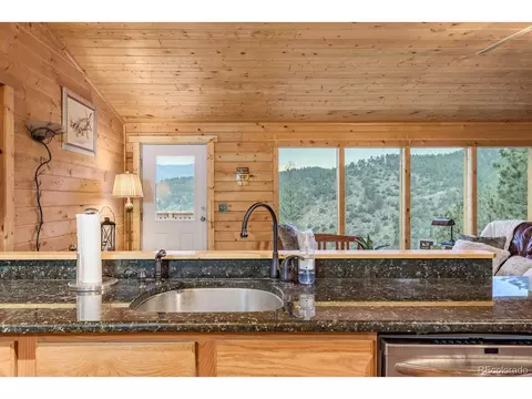 487 Eagle Trl, Bailey, CO 80421 photo 14