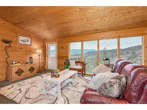 487 Eagle Trl, Bailey, CO 80421 photo 9