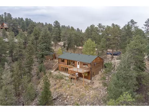 487 Eagle Trl, Bailey, CO 80421 photo 5