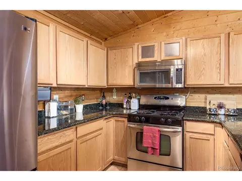 487 Eagle Trl, Bailey, CO 80421 photo 13