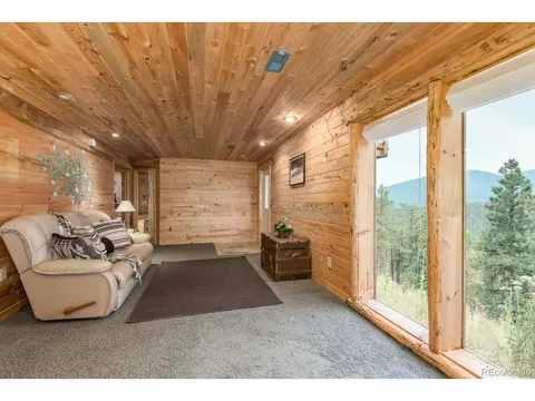 487 Eagle Trl, Bailey, CO 80421 photo 25