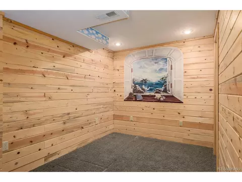 487 Eagle Trl, Bailey, CO 80421 photo 28