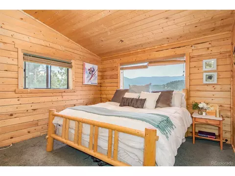 487 Eagle Trl, Bailey, CO 80421 photo 22