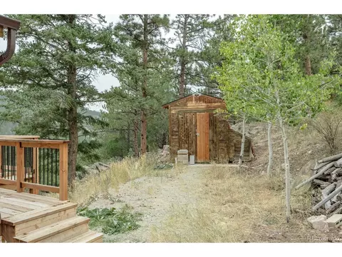 487 Eagle Trl, Bailey, CO 80421 photo 8