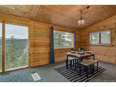 487 Eagle Trl, Bailey, CO 80421 photo 19