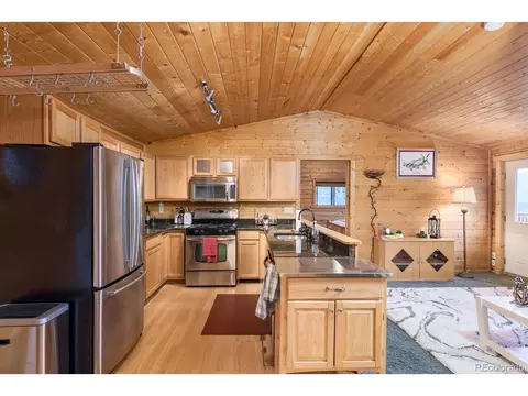 487 Eagle Trl, Bailey, CO 80421 photo 11