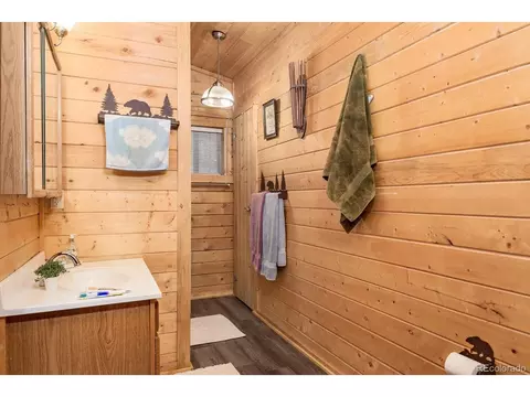 487 Eagle Trl, Bailey, CO 80421 photo 20