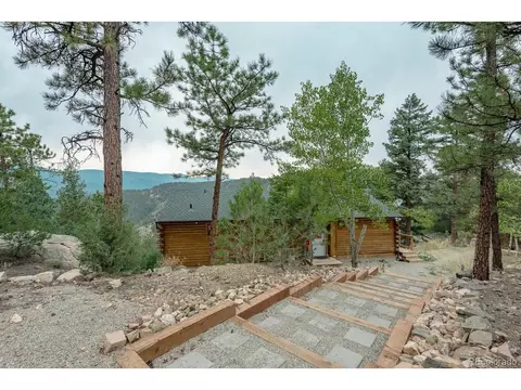 487 Eagle Trl, Bailey, CO 80421 photo 1