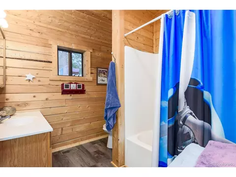 487 Eagle Trl, Bailey, CO 80421 photo 27