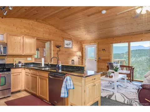 487 Eagle Trl, Bailey, CO 80421 photo 12