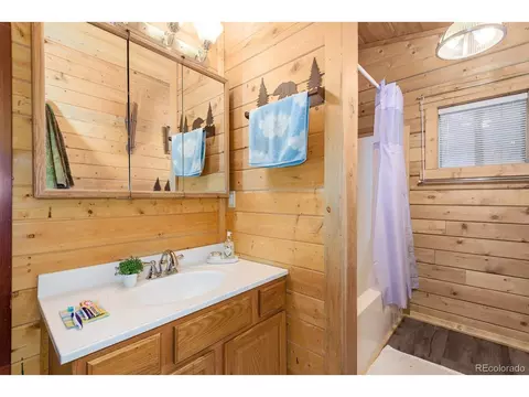 487 Eagle Trl, Bailey, CO 80421 photo 21