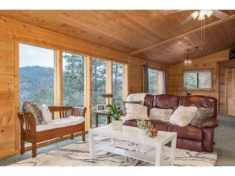 487 Eagle Trl, Bailey, CO 80421 photo 10