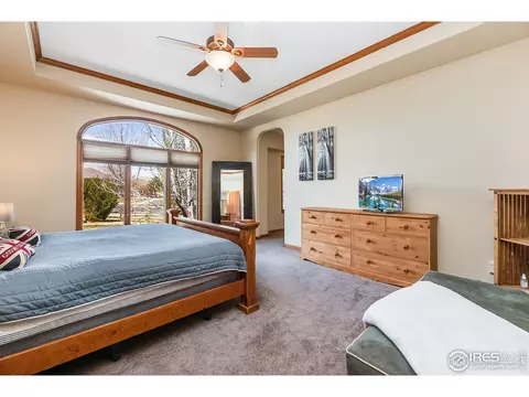 1903 Bison Ridge Dr, Windsor, CO 80550 photo 19