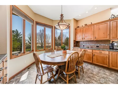 1903 Bison Ridge Dr, Windsor, CO 80550 photo 8