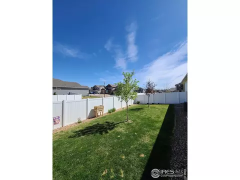 5592 Clarence Dr, Windsor, CO 80550 photo 30