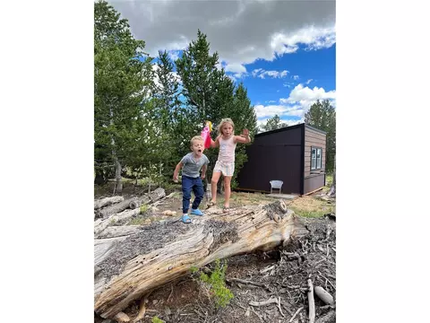 1648 Mullenville Rd, Fairplay, CO 80440