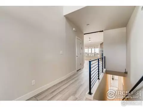 207 Silo Ct, Severance, CO 80550 photo 4