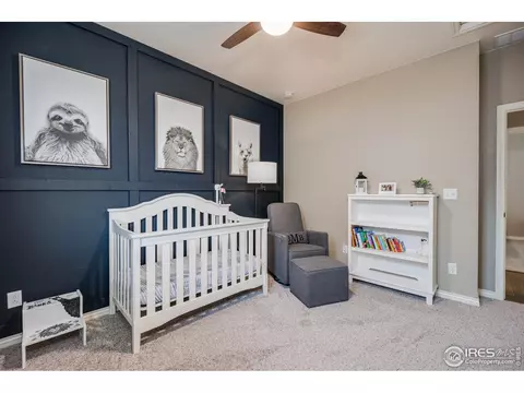1885 Seadrift Dr, Windsor, CO 80550 photo 29