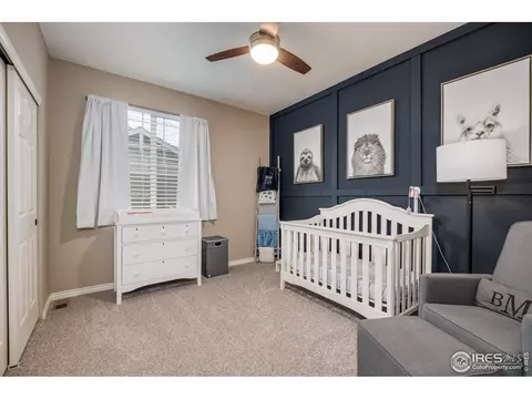1885 Seadrift Dr, Windsor, CO 80550 photo 28