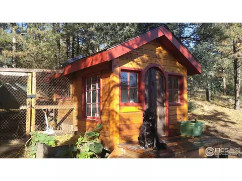 921 Eagle Dr, Lyons, CO 80540 photo 28