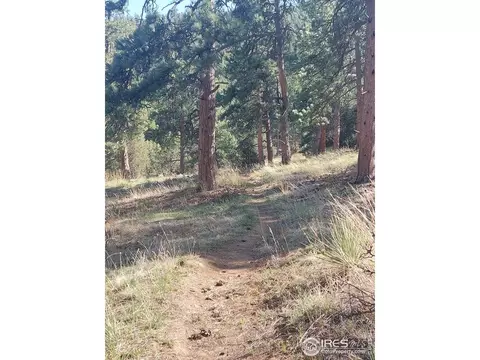 921 Eagle Dr, Lyons, CO 80540 photo 36