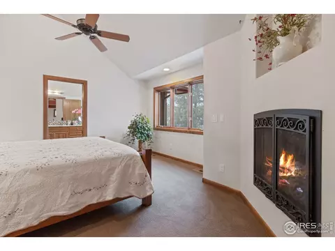 921 Eagle Dr, Lyons, CO 80540 photo 15